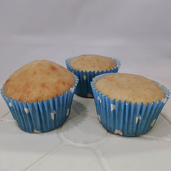 img-responsive